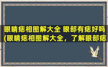 眼睛痣相图解大全 眼部有痣好吗(眼睛痣相图解大全，了解眼部痣相学，揭示眼痣寓意，预见命运走向！)